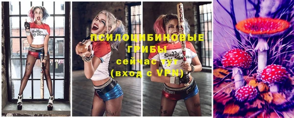 ALPHA PVP Магадан